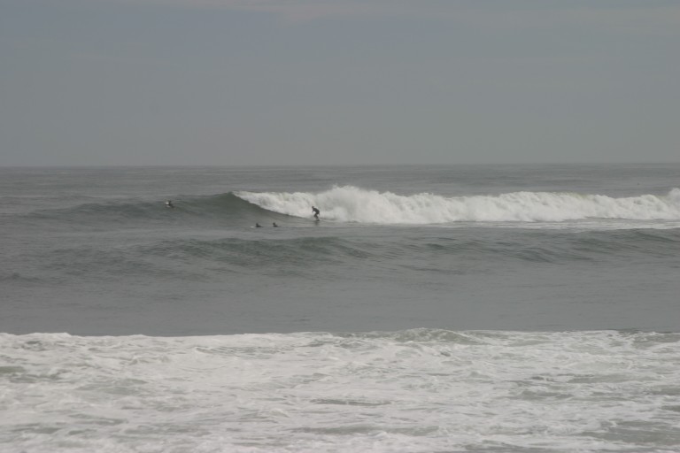IMG_2133.jpg