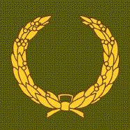 Meritorious Unit Badge - 56th Signal Battalion WWII
