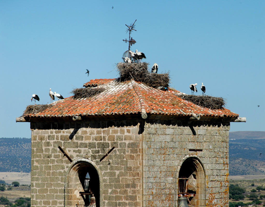 Bell tower