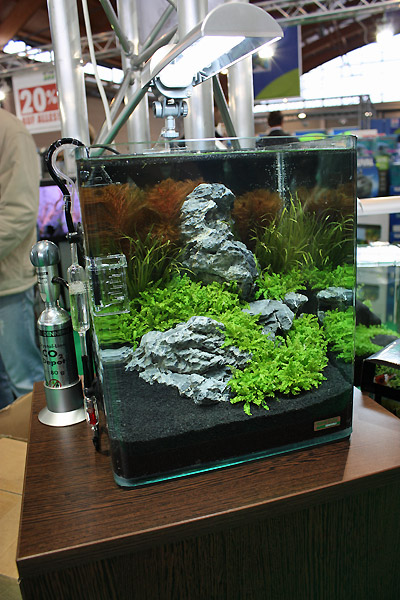 20 Liter Nano Tank by Oliver Knott