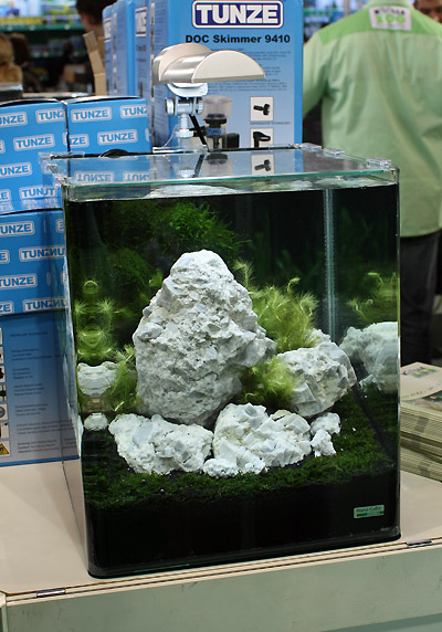 30 Liter Nano Tank by Oliver Knott