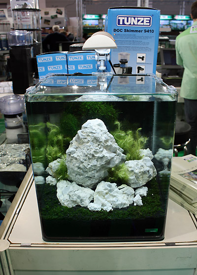 30 Liter Nano Tank by Oliver Knott