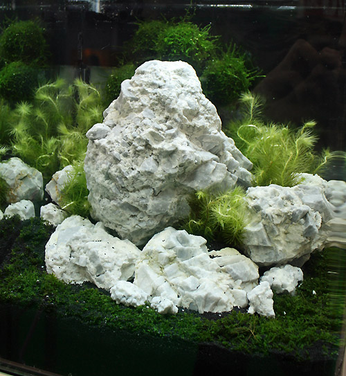 30 Liter Nano Tank by Oliver Knott