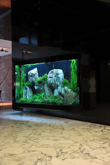 2000 Liter Aquascape by Oliver Knott