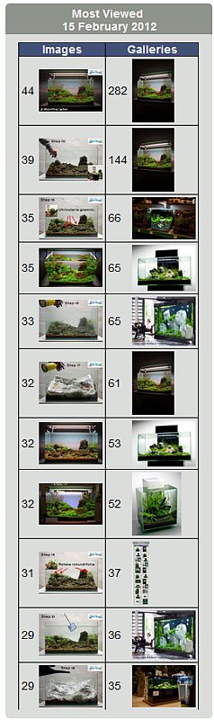 14.02.2012 = 7.116 page views