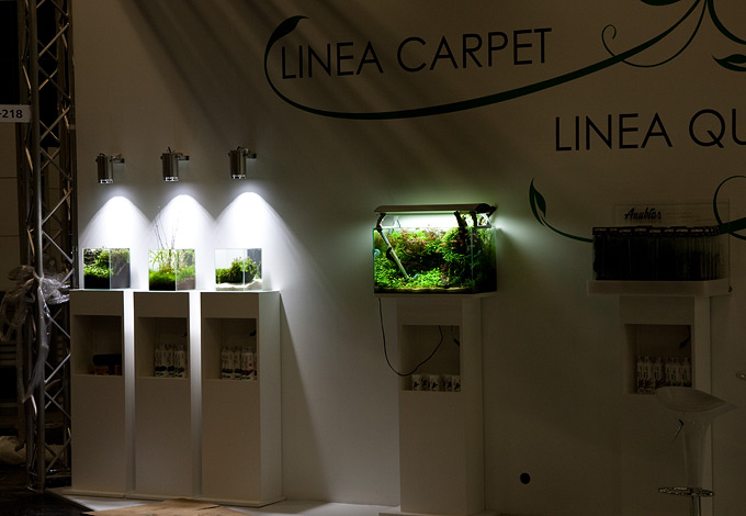 Interzoo 2012 with Oliver Knott