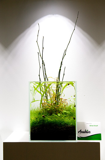 Interzoo 2012 with Oliver Knott