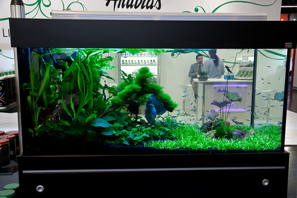 Interzoo 2012 with Oliver Knott
