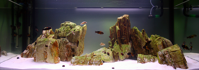 360 Liter - Tanganjika-Lake -