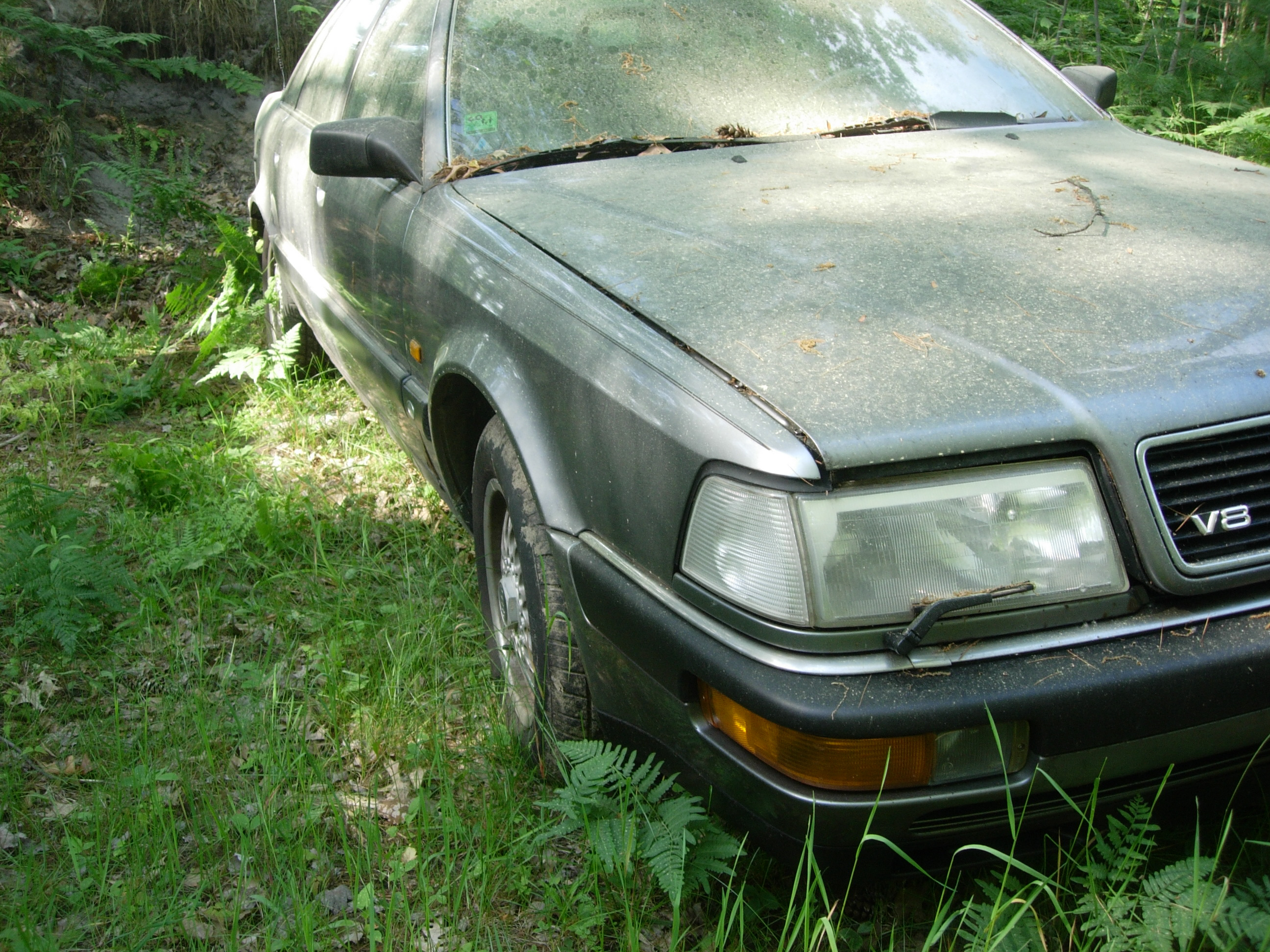 V81 pass side front view.jpg