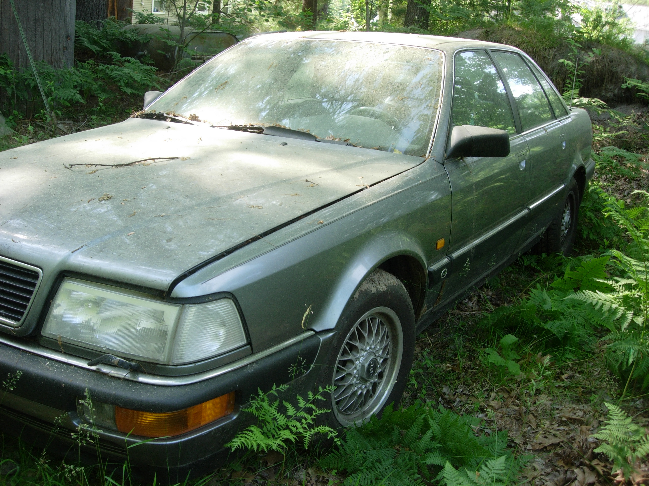 V81 Driver Side Front View.jpg