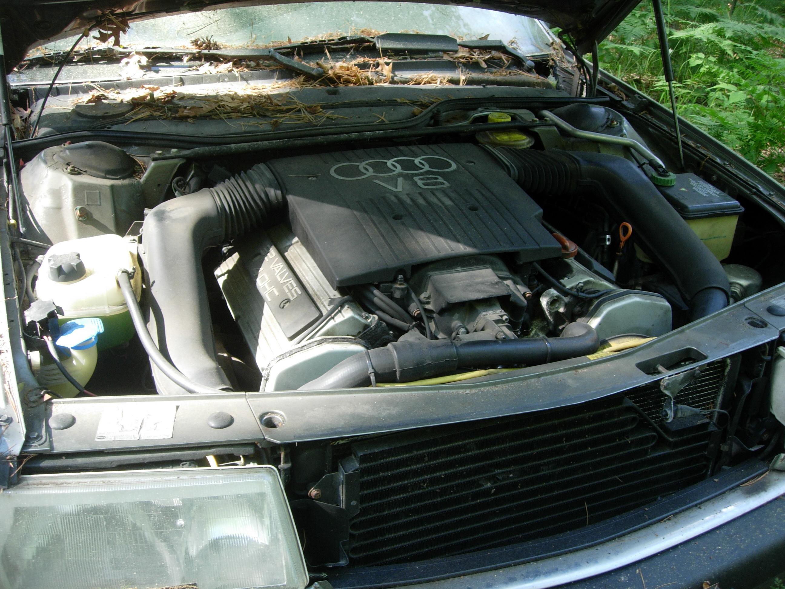 V81 Engine.jpg