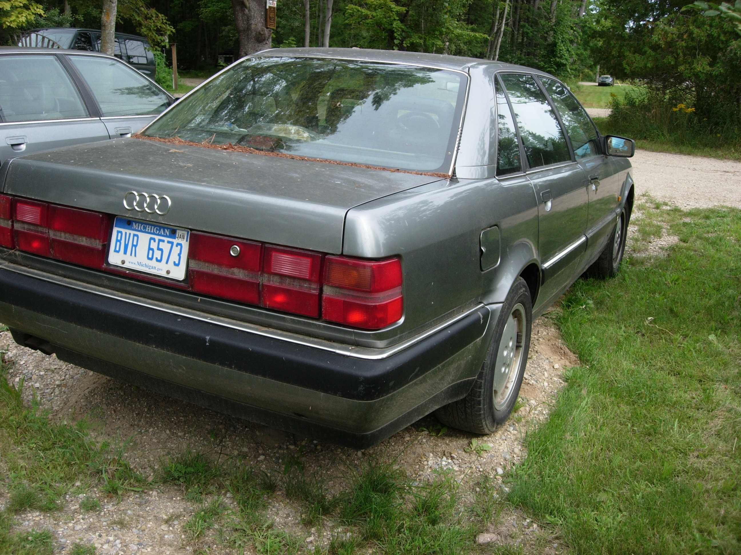 V82 Pass Rear.JPG
