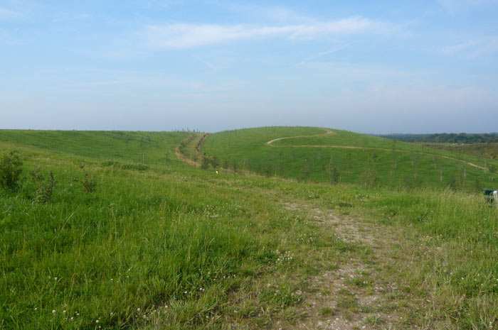 Bergloop-08-parcours-6.jpg