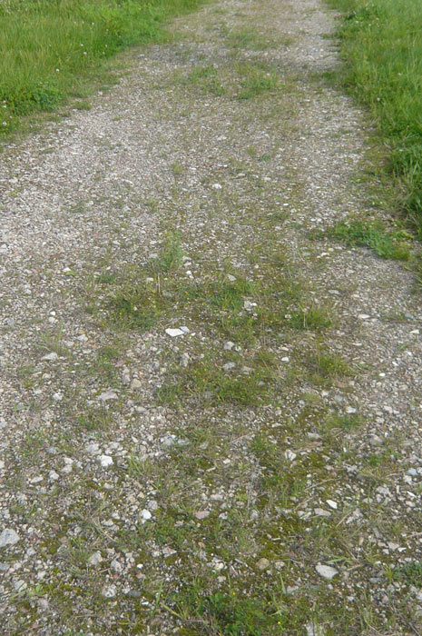 Bergloop-08-parcours-8.jpg