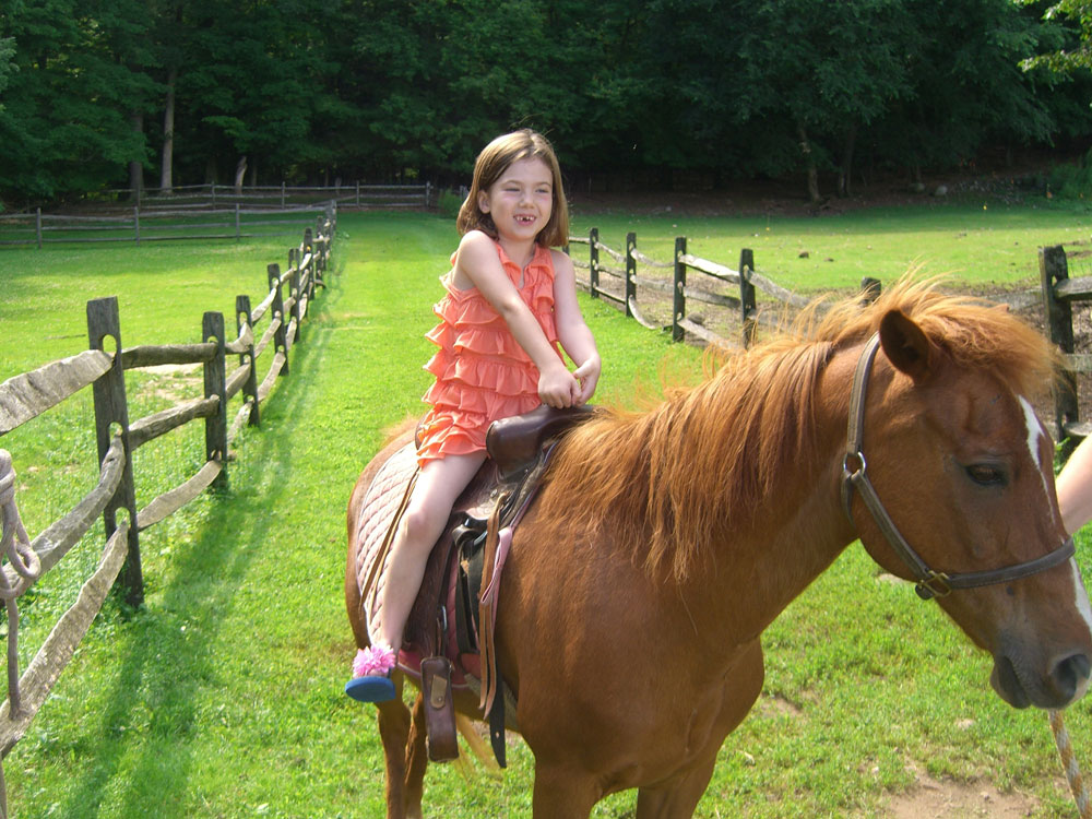 brady_horse.jpg