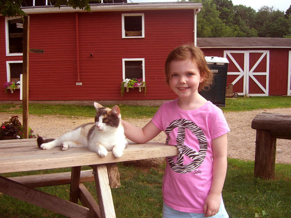 simsbury_elliecat.jpg