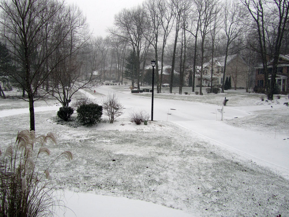 hiddenOak_snow2.jpg