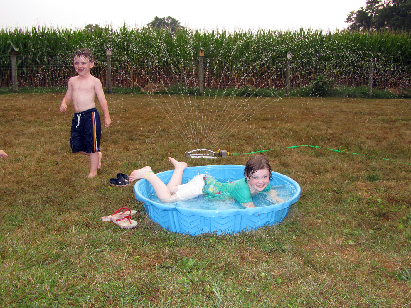kids_yard.jpg