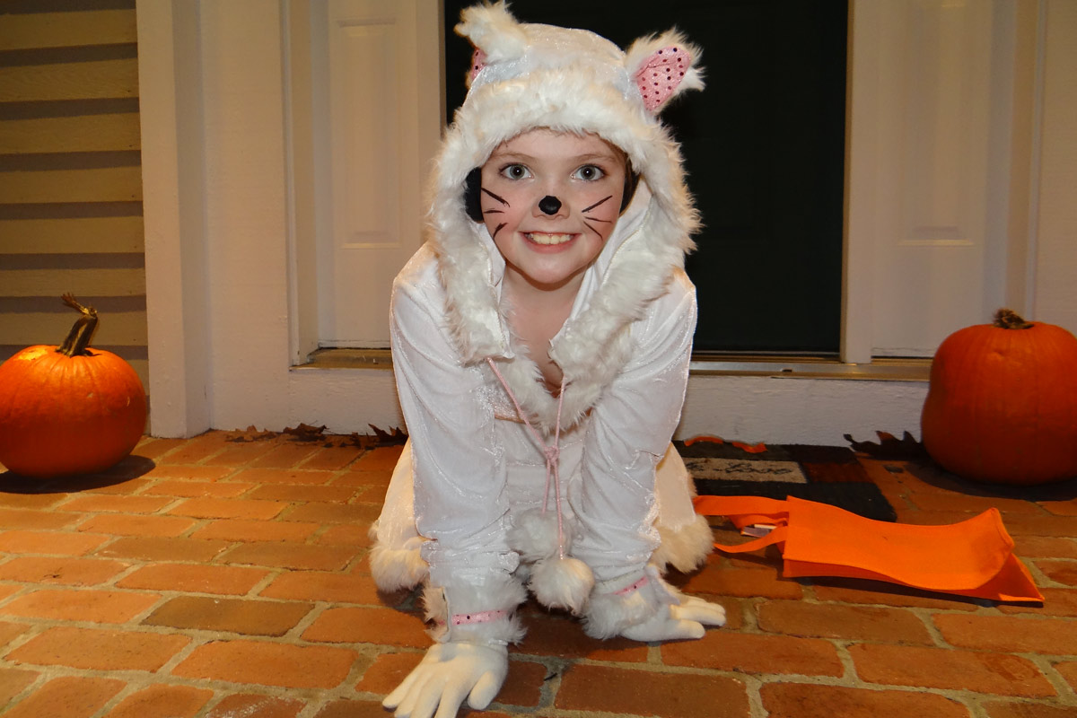 ellieCat.jpg