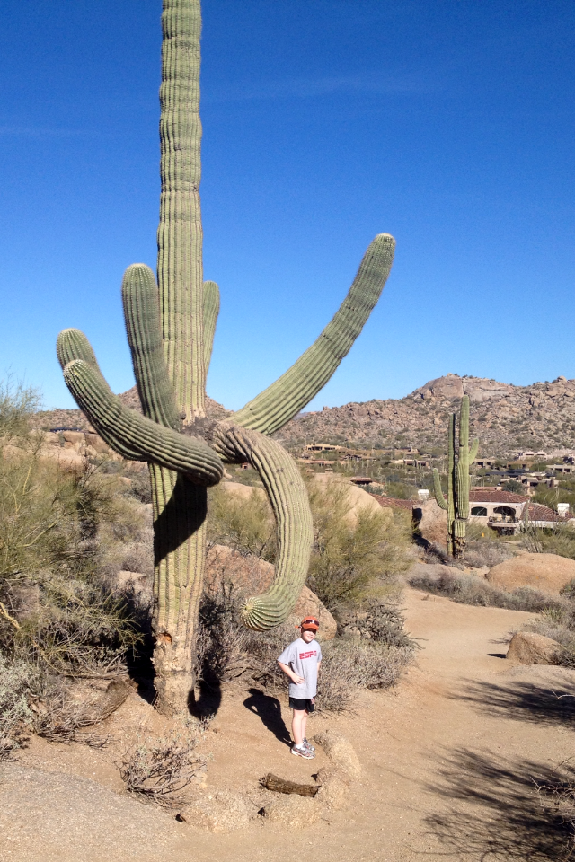 gavin_cactus.PNG