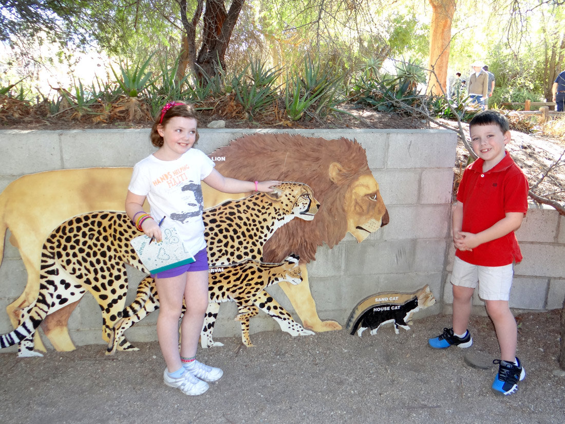 kidsCatsZooPD.jpg