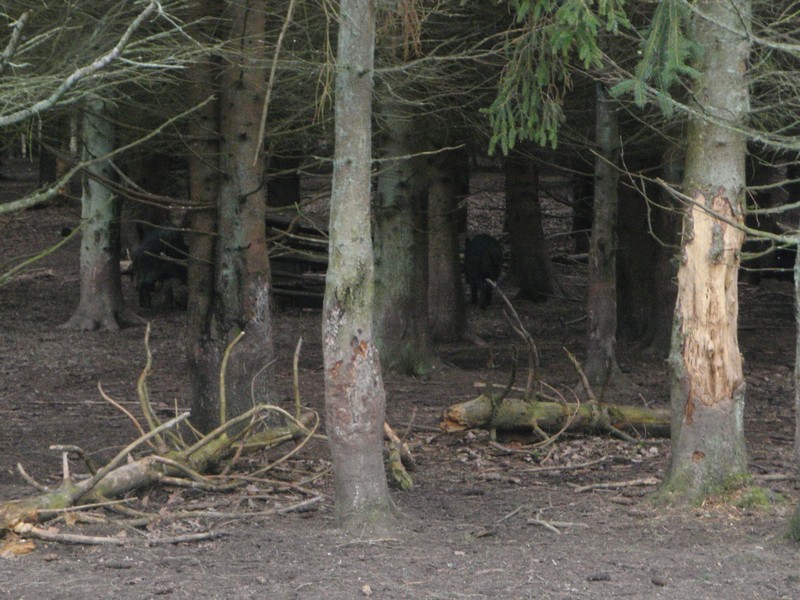 P3010010.JPG