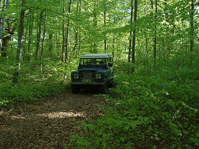 Rimbo 12.5.07 100.jpg