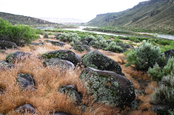 View to Snake River