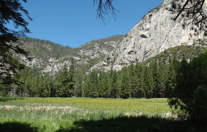 Zumwalt Meadow