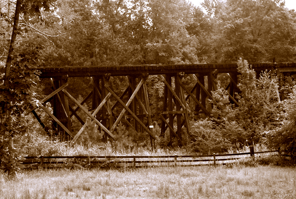 Trestle in Duotone