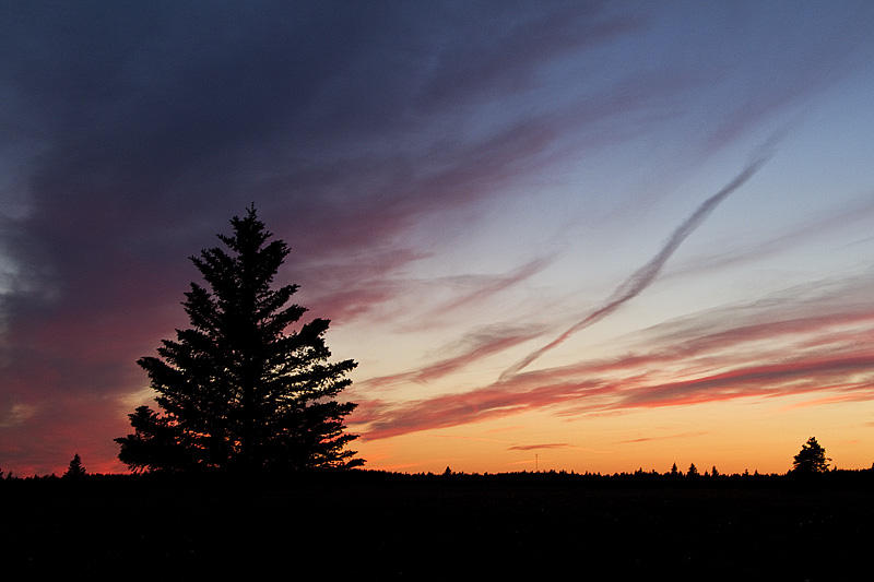 cypress hills sunset 070111_MG_9870