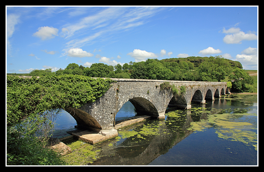 Stackpole Estate and Lilly Ponds, Pembrokeshire