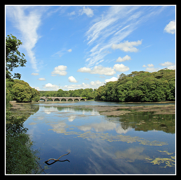 Stackpole Estate and Lilly Ponds, Pembrokeshire