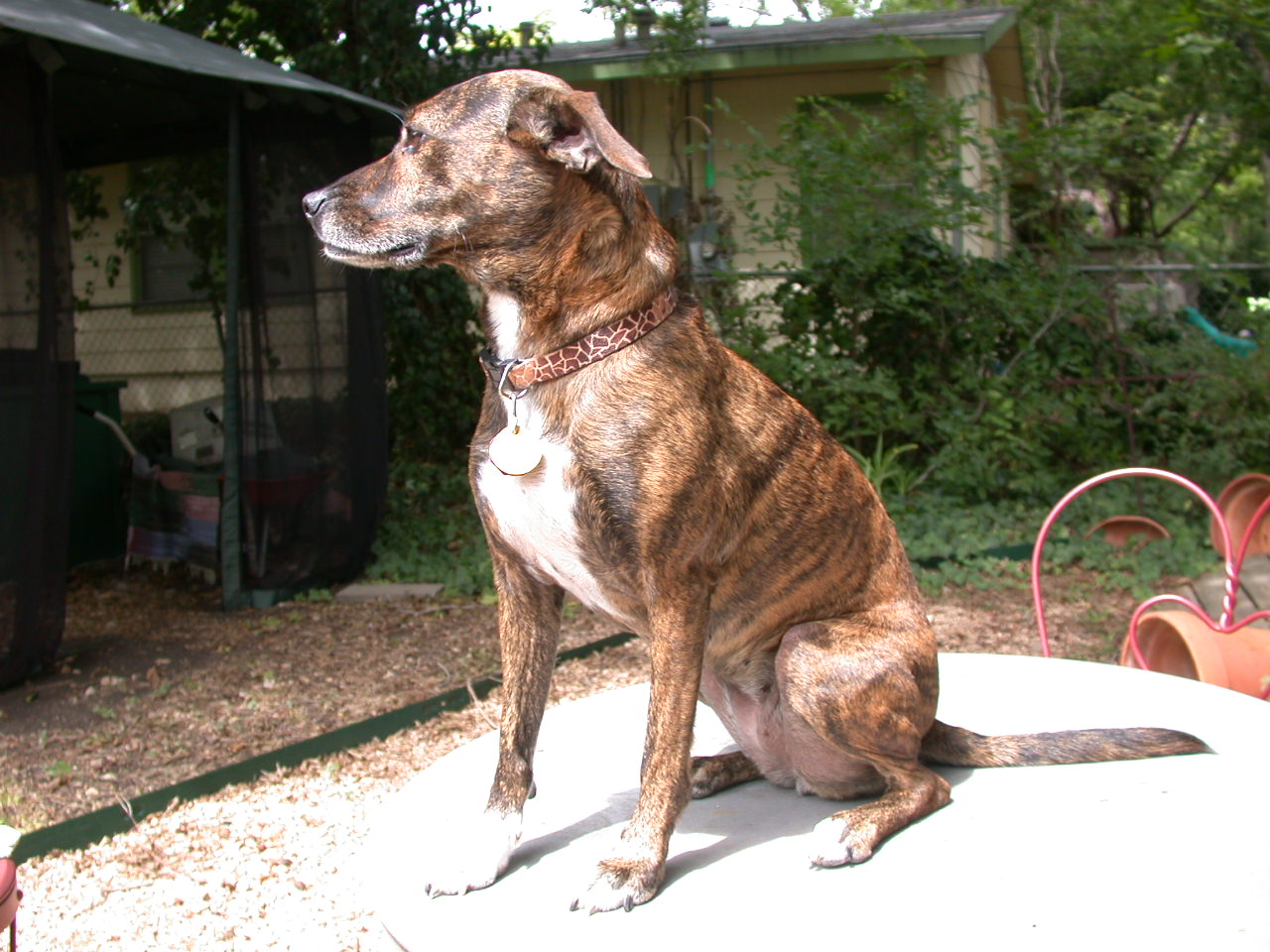 Posing in the sun