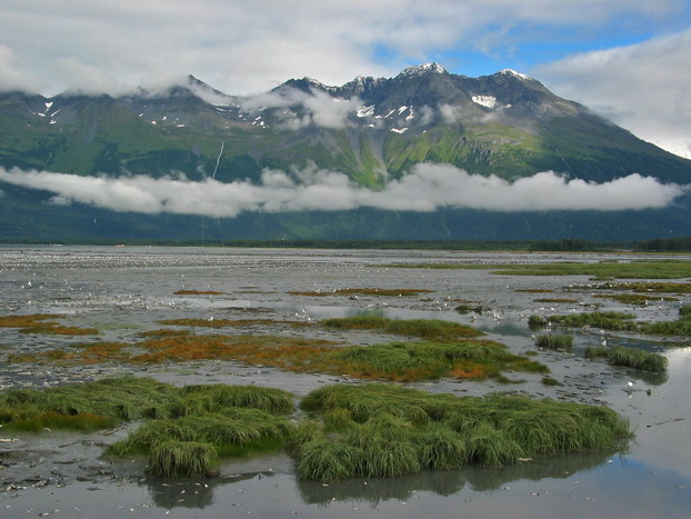 low tide