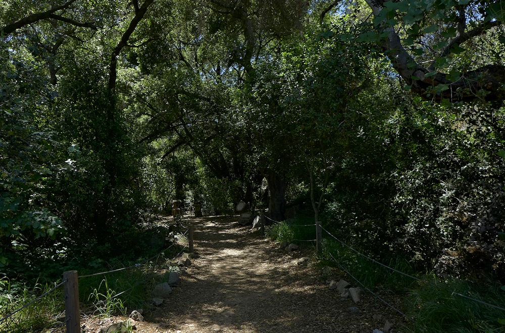 Trail - 1.jpg