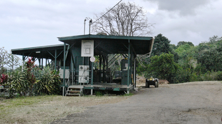 Greenwell Coffee Farm - Kona.jpg