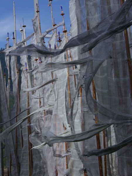 Prayer flags at Kurjey Lhakhang, Jakar, Bhutan