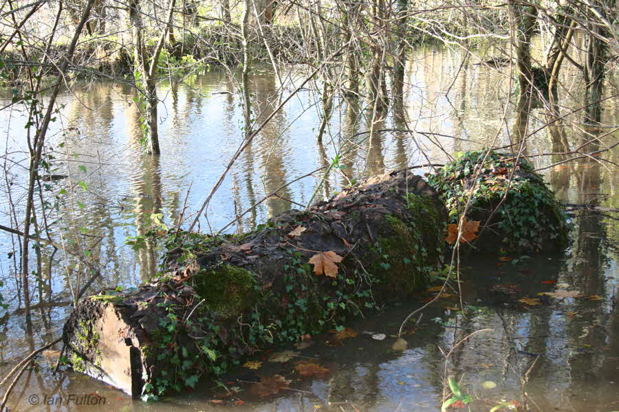 The Chestnut Walk, Barons Haugh