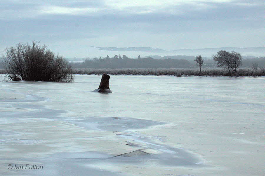 Frozen River Endrick, Loch Lomond NNR