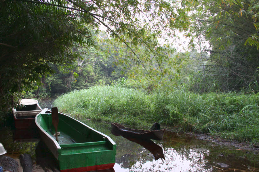 Mpivi River, Loango NP, Gabon