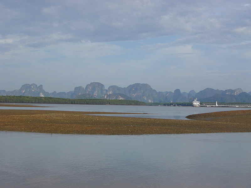The low tide exposes huge sandbars at the mouth of the river at Krabi where thousands of waders can be found