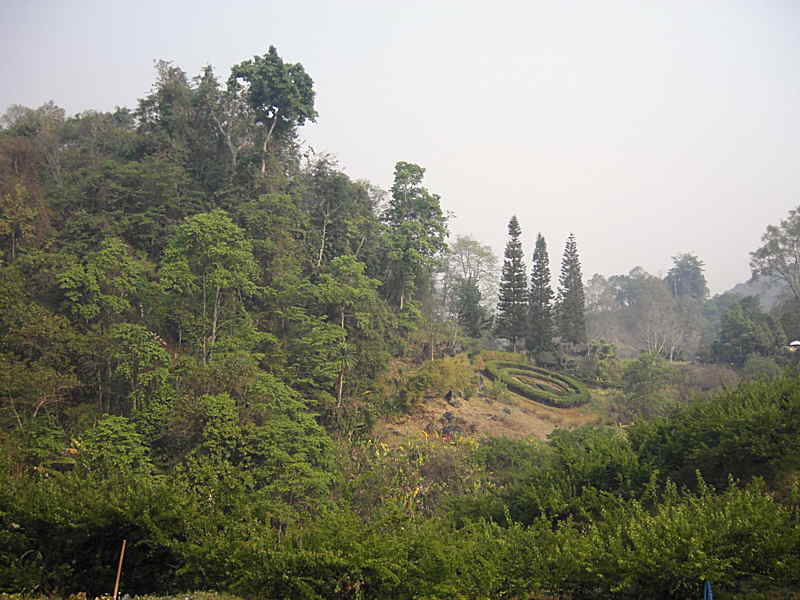 View in the Doi Ang Khang Royal Project area