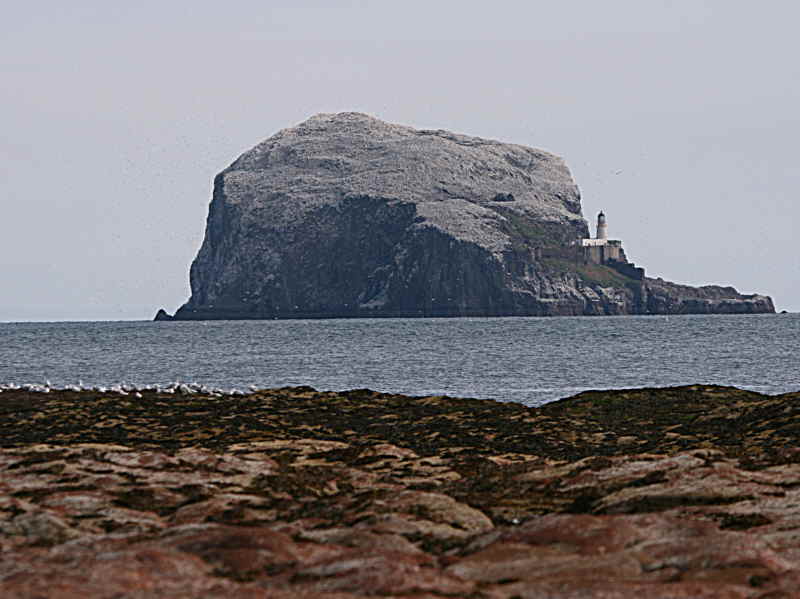 The Bass Rock from North Berwick, Lothian