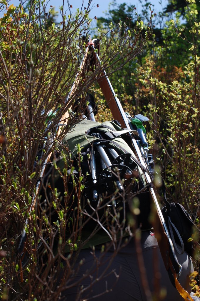 deep in the thicket of it