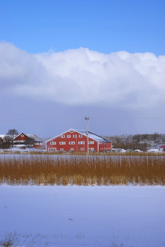 20.02.2007