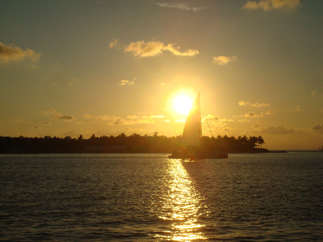 DSC02130.jpg