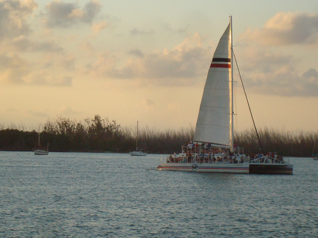 DSC02131.jpg