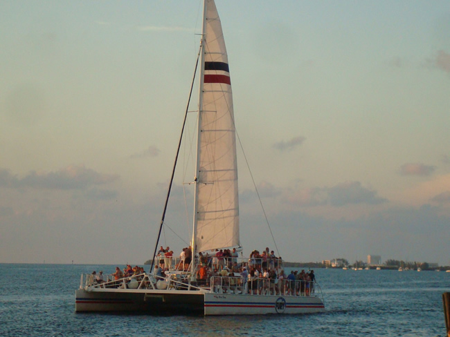 DSC02138.jpg